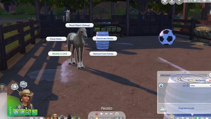 How to age up horses with cheats in The Sims 4: Horse Ranch