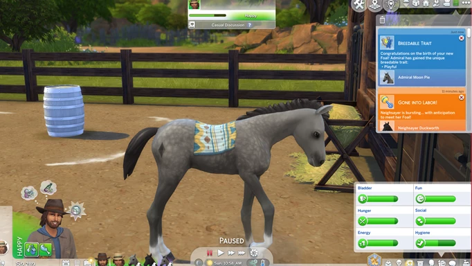 A foal with the hidden 'Playful' trait in The Sims 4 Horse Ranch