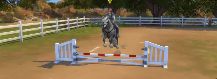 How to train horses in The Sims 4 Horse Ranch: All horse skills