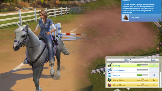 Screenshot of the Horse Riding skill cheat in Sims 4 Horse Ranch