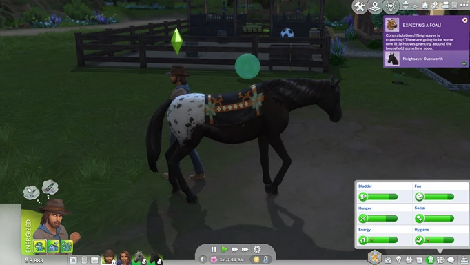 Screenshot of a horse pregnancy notification in The Sims 4 Horse Ranch