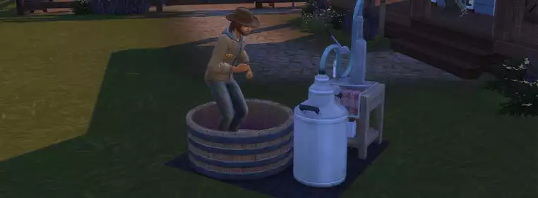 How to make Nectar in The Sims 4 Horse Ranch: How to age, Mysterious Rancher & more